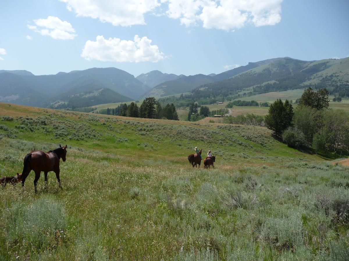 Mcdonald'S Ranch Lodge Gardiner Buitenkant foto