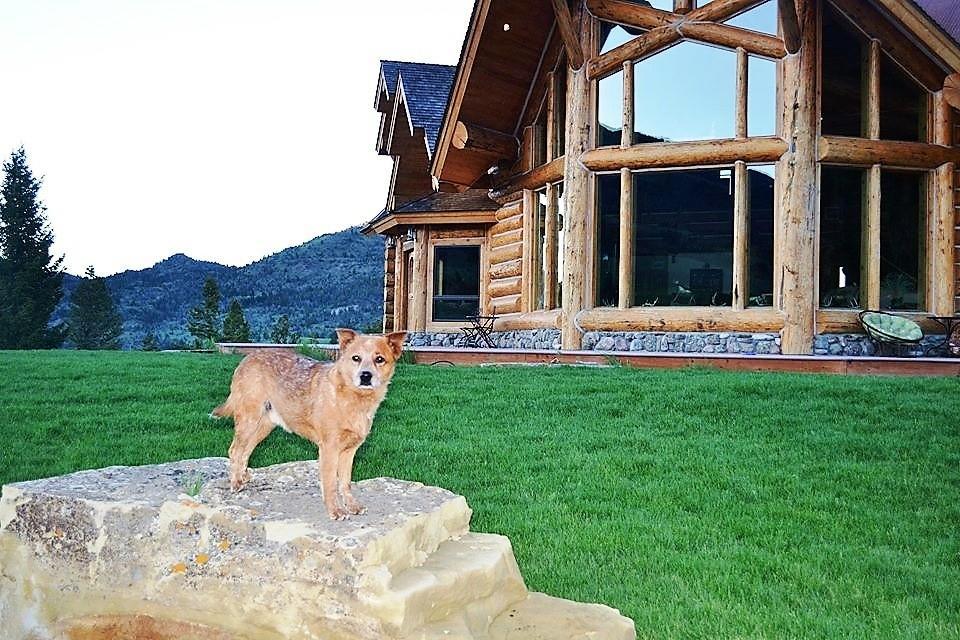 Mcdonald'S Ranch Lodge Gardiner Buitenkant foto